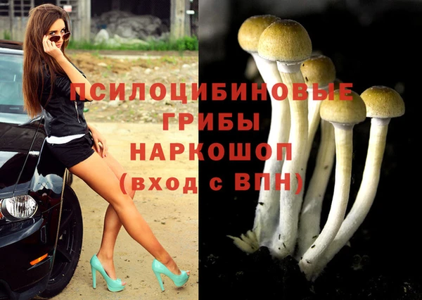 кокаин Алексеевка
